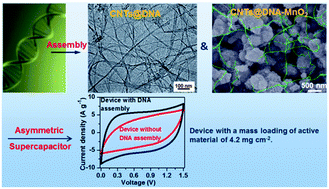 Graphical abstract: DNA-assisted assembly of carbon nanotubes and MnO2 nanospheres as electrodes for high-performance asymmetric supercapacitors