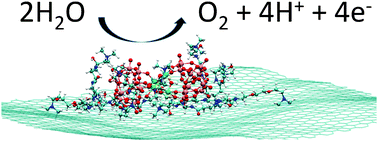 Graphical abstract: Interface structure and reactivity of water-oxidation Ru–polyoxometalate catalysts on functionalized graphene electrodes