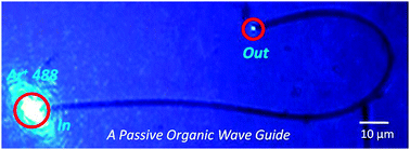 Graphical abstract: Organic photonics: prospective nano/micro scale passive organic optical waveguides obtained from π-conjugated ligand molecules