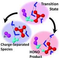 Graphical abstract: Reaction of a charge-separated ONONO2 species with water in the formation of HONO: an MP2 Molecular Dynamics study