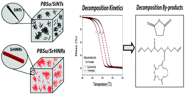 Graphical abstract: Thermal degradation kinetics and decomposition mechanism of PBSu nanocomposites with silica-nanotubes and strontium hydroxyapatite nanorods