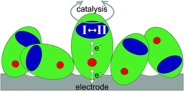 Graphical abstract: A unified model for surface electrocatalysis based on observations with enzymes