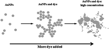 Graphical abstract: The interaction of gold and silver nanoparticles with a range of anionic and cationic dyes