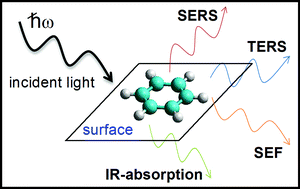 Graphical abstract: Plasmonics and spectroscopy