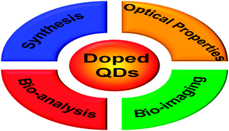 Graphical abstract: Doped quantum dots for chemo/biosensing and bioimaging