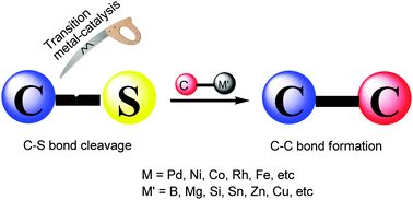 Graphical abstract: Transition metal-catalyzed C–C bond formation via C–S bond cleavage: an overview