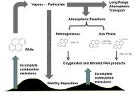 Graphical abstract: Chemical reactivity and long-range transport potential of polycyclic aromatic hydrocarbons – a review