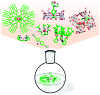 Graphical abstract: Insights into metalloenzyme microenvironments: biomimetic metal complexes with a functional second coordination sphere