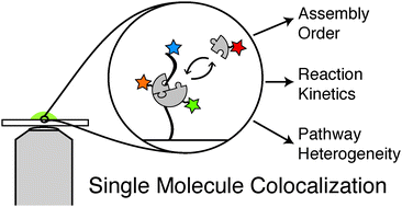 Graphical abstract: Visualizing cellular machines with colocalization single molecule microscopy