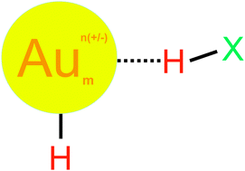 Graphical abstract: The gold–hydrogen bond, Au–H, and the hydrogen bond to gold, Au⋯H–X
