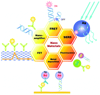 Graphical abstract: Functional nanoprobes for ultrasensitive detection of biomolecules: an update