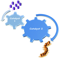 Graphical abstract: Tandem catalysis: a new approach to polymers