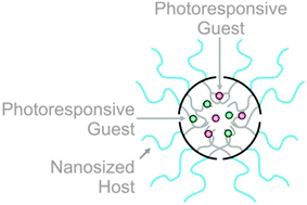 Graphical abstract: Photoresponsive polymer nanocarriers with multifunctional cargo