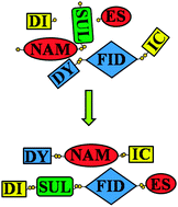 Graphical abstract: Disulfide exchange: exposing supramolecular reactivity through dynamic covalent chemistry