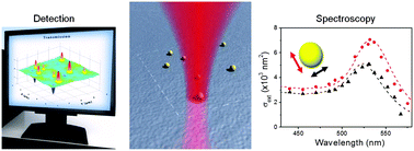 Graphical abstract: Optical absorption and scattering spectroscopies of single nano-objects