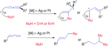 Graphical abstract: Silver and platinum-catalysed addition of O–H and N–H bonds to allenes