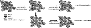 Graphical abstract: Choosing a suitable support for Co3O4 as an NH3 oxidation catalyst