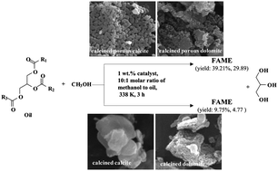 Graphical abstract: A facile, low-cost route for the preparation of calcined porous calcite and dolomite and their application as heterogeneous catalysts in biodiesel production