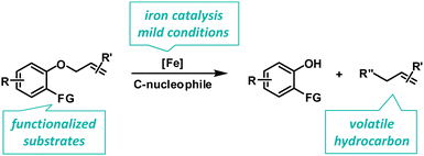 Graphical abstract: Highly practical iron-catalyzed C–O cleavage reactions