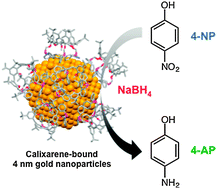 Graphical abstract: Identification of site requirements for reduction of 4-nitrophenol using gold nanoparticle catalysts