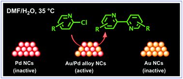 Graphical abstract: Bimetallic gold–palladium alloy nanoclusters: an effective catalyst for Ullmann coupling of chloropyridines under ambient conditions