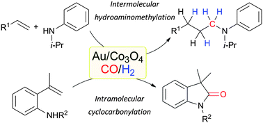 Graphical abstract: Gold nanoparticles assisted formation of cobalt species for intermolecular hydroaminomethylation and intramolecular cyclocarbonylation of olefins