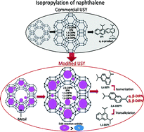 Graphical abstract: Isopropylation of naphthalene by isopropanol over conventional and Zn- and Fe-modified USY zeolites
