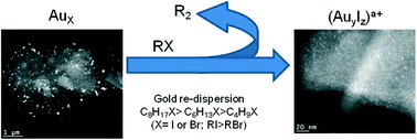 Graphical abstract: Application of halohydrocarbons for the re-dispersion of gold particles