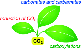 Graphical abstract: Recent progress in catalytic conversions of carbon dioxide