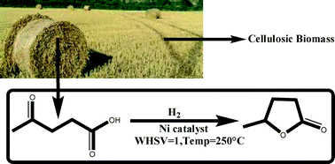 Graphical abstract: Vapour phase hydrocyclisation of levulinic acid to γ-valerolactone over supported Ni catalysts