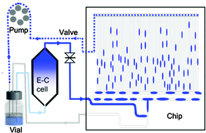 Graphical abstract: Electro-enzymatic viologen-mediated substrate reduction using pentaerythritol tetranitrate reductase and a parallel, segmented fluid flow system