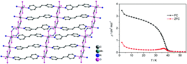 Graphical abstract: New two-dimensional Mn(ii) metal–organic framework featured spin canting
