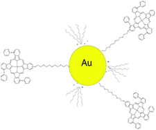 Graphical abstract: Photophysical and photochemical properties of a novel thiol terminated low symmetry zinc phthalocyanine complex and its gold nanoparticles conjugate