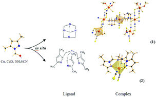 Graphical abstract: Assembling novel Cd(ii) complexes with multidentate nitrogen donor ligands obtained in situ from the system: zerovalent copper, cadmium oxide, 1-hydroxymethyl-3,5-dimethylpyrazole and ammonium thiocyanate