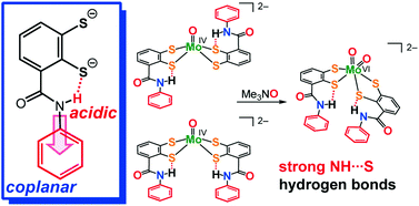 Graphical abstract: Strong NH⋯S hydrogen bonds in molybdoenzyme models containing anilide moieties