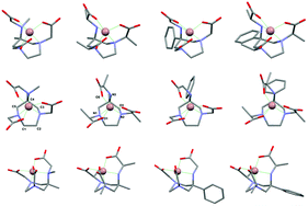 Graphical abstract: Crystallographic and solution NMR structural analyses of four hexacoordinated gallium(iii) complexes based on ligands derived from 6-amino-perhydro-1,4-diazepine