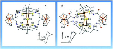 Graphical abstract: Modification of Sn/S cages with bis-functionalized ferrocenyl units