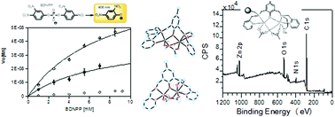 Graphical abstract: Asymmetric zinc(ii) complexes as functional and structural models for phosphoesterases