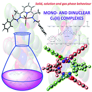 Graphical abstract: Condensed, solution and gas phase behaviour of mono- and dinuclear 2,6-diacetylpyridine (dap) hydrazone copper complexes probed by X-ray, mass spectrometry and theoretical calculations