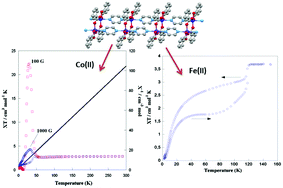 Graphical abstract: Cu(i), Co(ii) and Fe(ii) coordination polymers with pyrazine and benzoate as ligands. Spin crossover, spin canting and metamagnetism phenomena