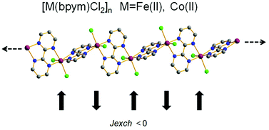 Graphical abstract: Expanding the 2,2′-bipyrimidine bridged 1D homonuclear coordination polymers family: [MII(bpym)Cl2] (M = Fe, Co) magnetic and structural characterization