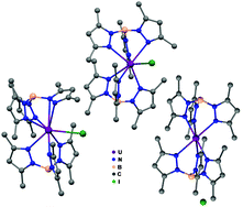 Graphical abstract: Crystal structure diversity in the bis[hydrotris(3,5-dimethylpyrazolyl)borate]iodouranium(iii) complex: from neutral to cationic forms
