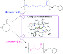 Graphical abstract: Synthesis and structural determination of zinc complexes based on an anilido-aldimine ligand containing an O-donor pendant arm: zinc alkoxide derivative as an efficient initiator for ring-opening polymerization of cyclic esters
