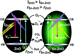 Graphical abstract: The enhanced photocatalytic and bactericidal activities of carbon microsphere-assisted solvothermally synthesized cocoon-shaped Sn4+-doped ZnO nanoparticles