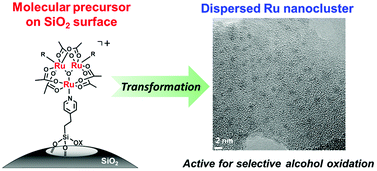 Graphical abstract: Dispersed Ru nanoclusters transformed from a grafted trinuclear Ru complex on SiO2 for selective alcohol oxidation