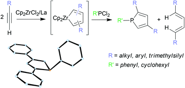 Graphical abstract: Reactivity differences between 2,4- and 2,5-disubstituted zirconacyclopentadienes: a highly selective and general approach to 2,4-disubstituted phospholes