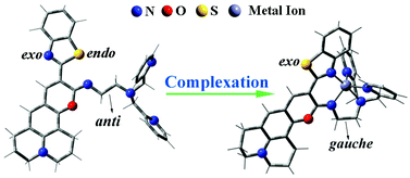 Graphical abstract: Theoretical studies on the structural and spectroscopic properties of an iminocoumarin-based probe and its metal complexation: an implication for a fluorescence probe