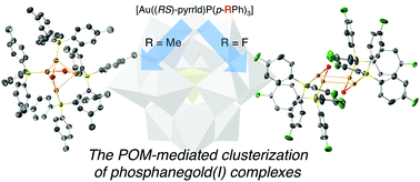 Graphical abstract: Two types of tetranuclear phosphanegold(i) cations as dimers of dinuclear units, [{(Au{P(p-RPh)3})2(μ-OH)}2]2+ (R = Me, F), synthesized by polyoxometalate-mediated clusterization