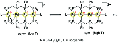 Graphical abstract: Flexible, linear, tetranuclear palladium complexes supported by tetraphosphine ligands with electron-withdrawing groups