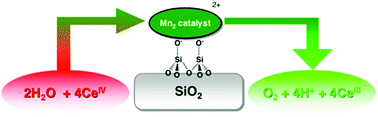 Graphical abstract: Water oxidation catalysis via immobilization of the dimanganese complex [Mn2(μ-O)2Cl(μ-O2CCH3)(bpy)2(H2O)](NO3)2 onto silica